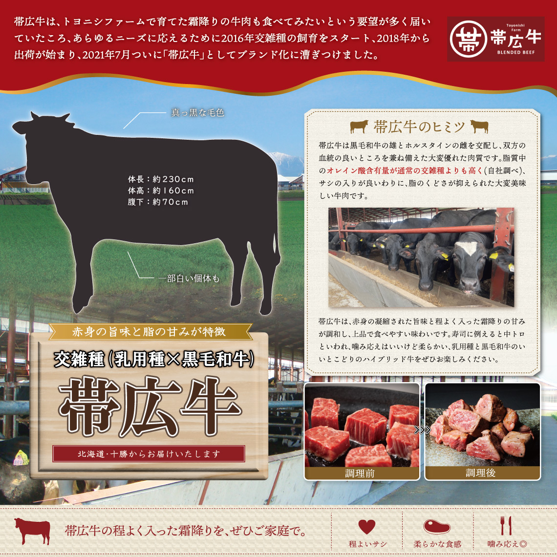 帯広牛＆豊西牛肩ロースしゃぶしゃぶ用トヨぽん付きギフト