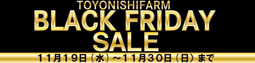 ブラックフライデー